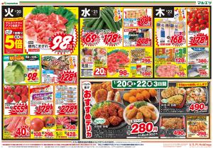 1月20日〜1月22日　チラシ情報のチラシ画像