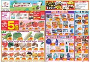今週のお買い得商品をチェック！のチラシ画像