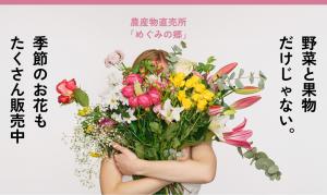 季節のお花販売中！のチラシ画像