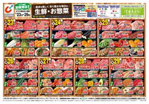 1/23号のチラシ画像