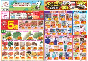 今週のお買い得商品をチェック！のチラシ画像