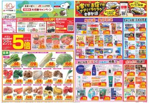 今週のお買い得商品をチェック！のチラシ画像