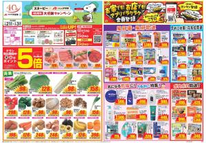今週のお買い得商品をチェック！のチラシ画像