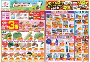 今週のお買い得商品をチェック!のチラシ画像