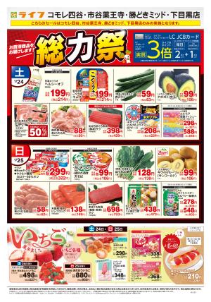 1/24号　総力祭/いちご集めましたのチラシ画像