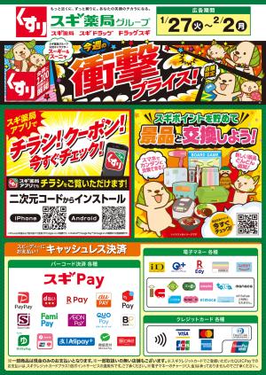 チラシのご案内のチラシ画像