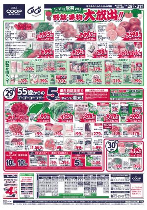 野菜・果物大放出!!のチラシ画像