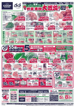 野菜・果物大放出!!のチラシ画像