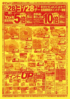 20260128-20260130のチラシ画像