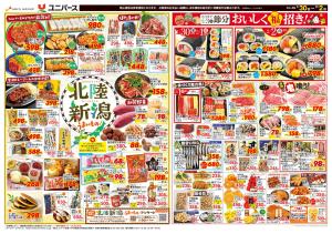 北陸 新潟 うまいもののチラシ画像