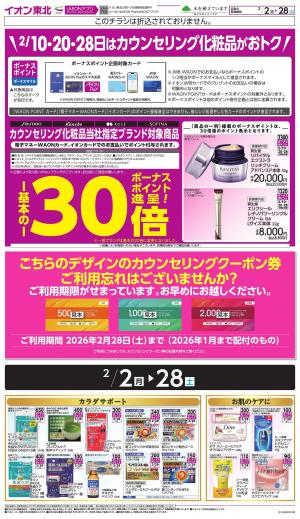 月間WAONボーナスポイントのチラシ画像