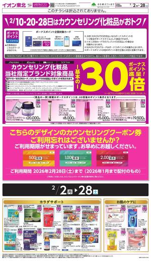 月間WAONボーナスポイントのチラシ画像