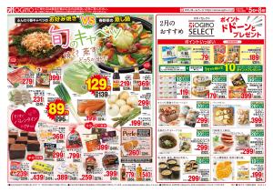 通常チラシのチラシ画像