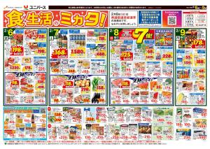 食生活のミカタ！のチラシ画像