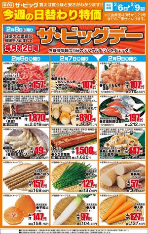 ザ・ビッグ　２／６のチラシ画像