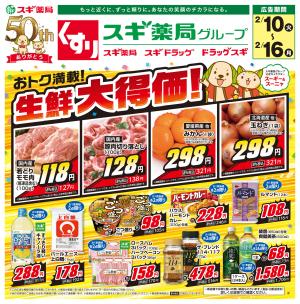 チラシのご案内のチラシ画像