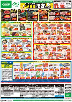 WEB限定チラシのチラシ画像