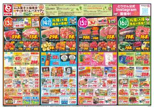 2/13号_のチラシ画像