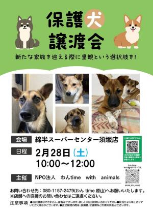 保護犬譲渡会開催のチラシ画像