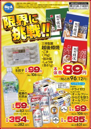 2月限界に挑戦！！のチラシ画像