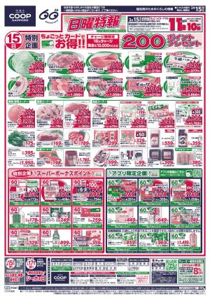 15日 日曜特報のチラシ画像