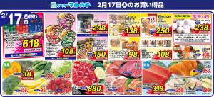 2026年02月17日のチラシ画像