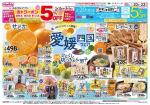 愛媛四国フェアのチラシ画像