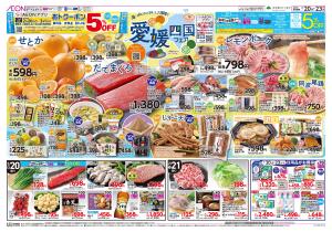 2月20日(金)-23日(月・祝）愛媛四国フェアのチラシ画像