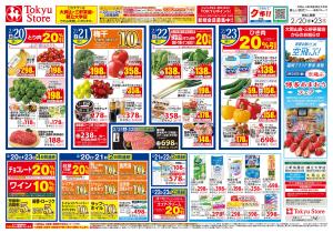 2026/02/20のチラシ画像