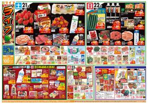 お買い得価格満載！「ライフ祭」のチラシ画像