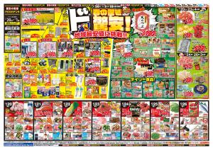 2/20号　春の驚きド驚安！　MEGAドン・キホーテUNY 豊田元町店のチラシ画像
