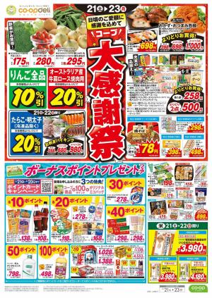 大感謝祭／３連休のごちそうのチラシ画像