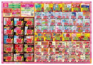 佐々木薬局　2月下旬チラシのチラシ画像