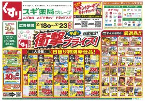 チラシのご案内のチラシ画像