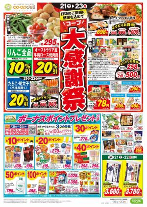 大感謝祭／３連休のごちそうのチラシ画像