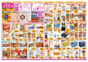 2026年2月20日〜2026年3月5日_のチラシ画像