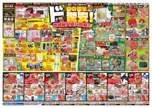 2/20号　春の驚きド驚安！　MEGAドン・キホーテUNY 敦賀店のチラシ画像