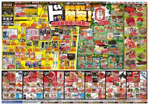 2/20号　春の驚きド驚安！　MEGAドン・キホーテUNY鈴鹿店のチラシ画像