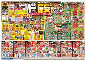 2/20号　春の驚きド驚安！　MEGAドン・キホーテ ラパーク金沢店のチラシ画像