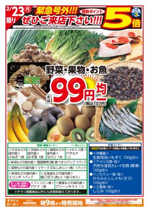 2/23〜2/24のチラシ画像