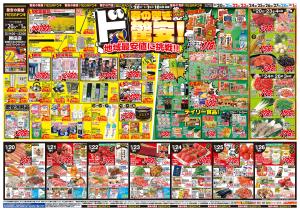 0220号　春の驚きド驚安！　勝田店のチラシ画像