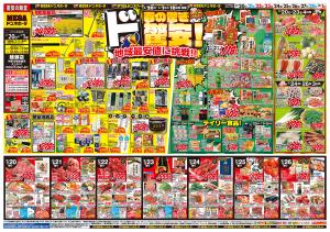 0220号　春の驚きド驚安！　綾瀬店のチラシ画像