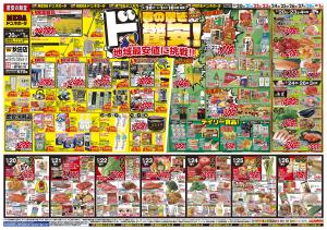 0220号　春の驚きド驚安！　秋田店のチラシ画像