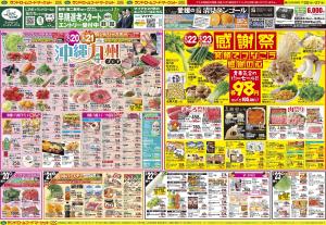 2/20号のチラシ画像