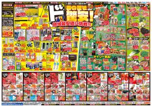 0220号　春の驚きド驚安！　いわき店のチラシ画像