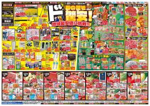 0220号　春の驚きド驚安！　草加店のチラシ画像