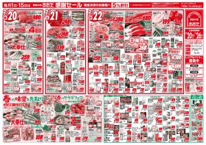 ２月２０日（金）〜２月２６日（木）のチラシ画像