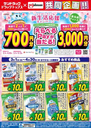 お買い得チラシのチラシ画像