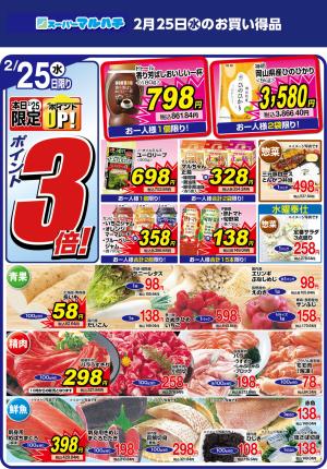 2026年02月25日のチラシ画像