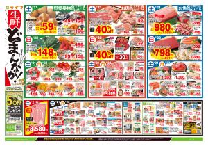 2/21号　生鮮どまんなか！のチラシ画像